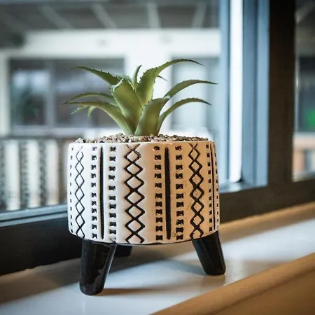 公寓 Vibrant 2 Bedroom Sleeps 4